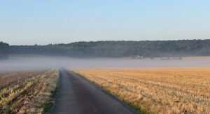 Chemin de campagne qui s'enfonce dans la brume sous un ciel dégagé