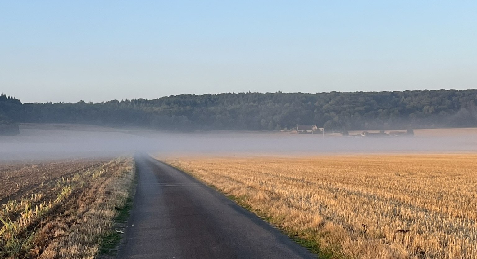 Chemin de campagne qui s'enfonce dans la brume sous un ciel dégagé