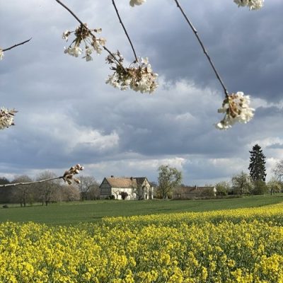 Se reconstruire et communiquer